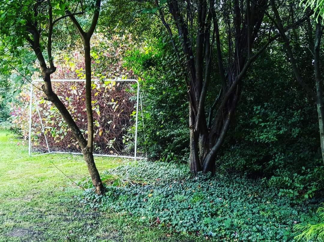De Linderd Bed & Breakfast อาลสท์ ภายนอก รูปภาพ